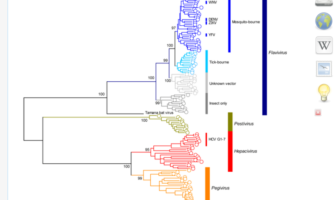 new lineage of sars-cov-2