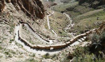 long covid might be more extensive