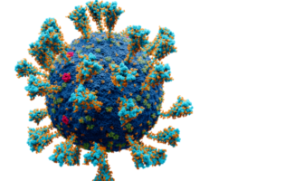 symptoms of long covid in the shadows