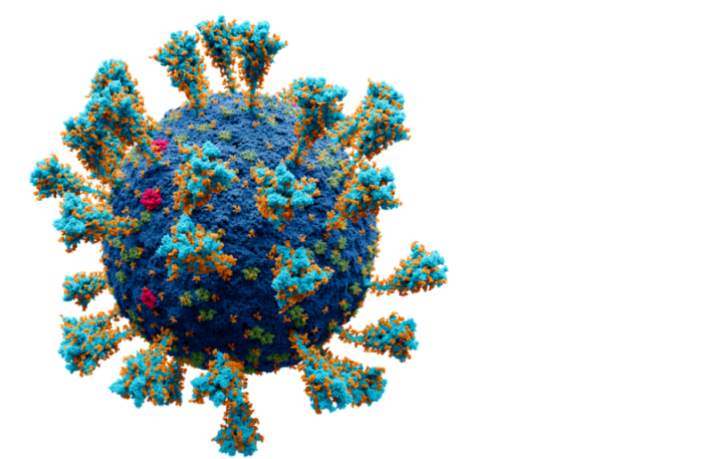 symptoms of long covid in the shadows