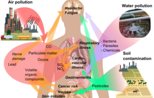 climate change could affect covid spread