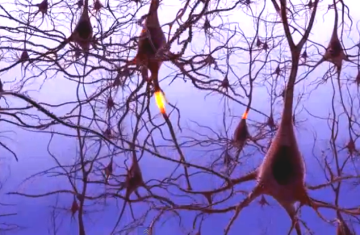 brain fog is a mental and a biological event