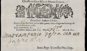 what a vaccine passport is