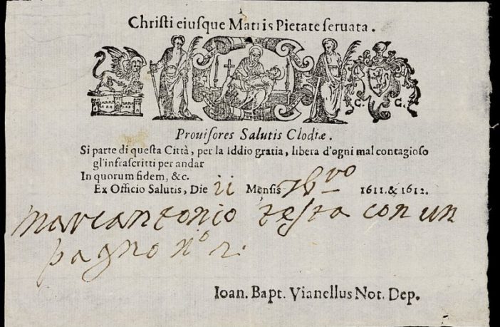 what a vaccine passport is