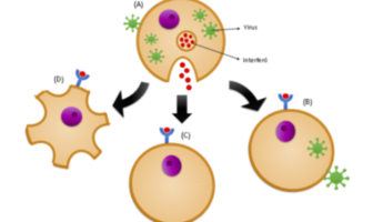 things we need to know about covid-19 pills