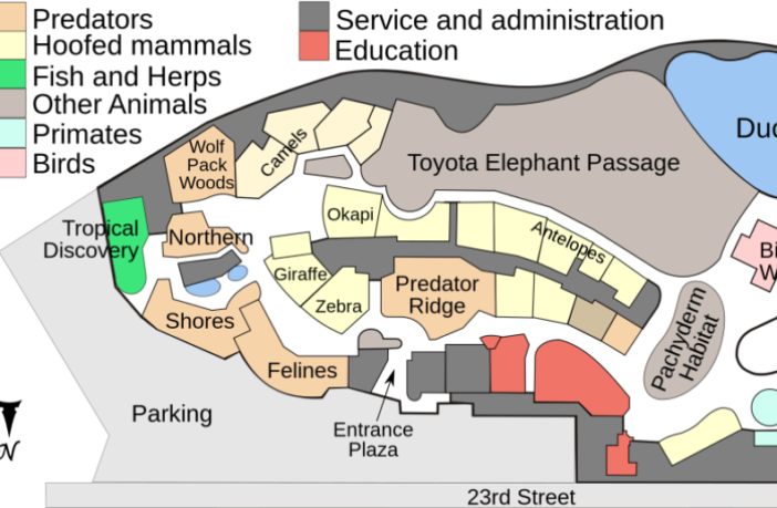 covid break out among animals