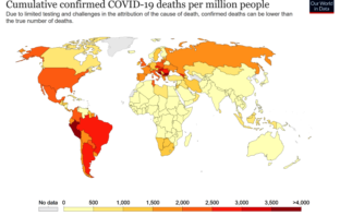 high-risk gene for covid-19¬