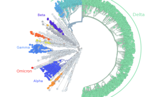 the facts about omicron