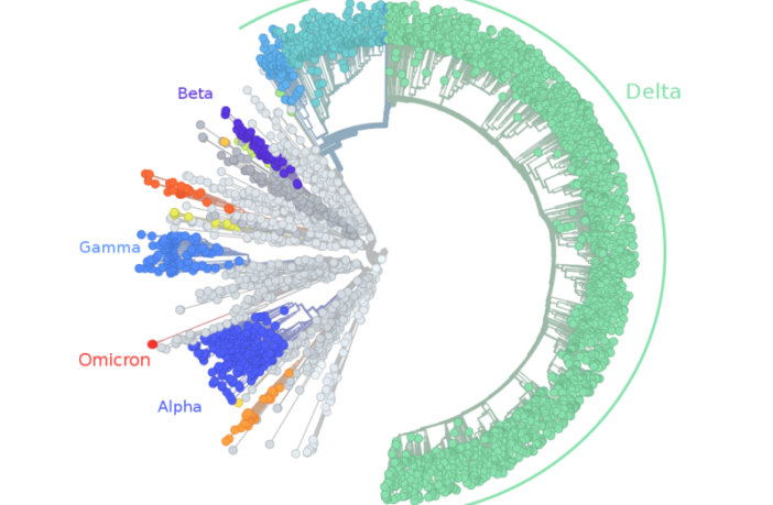 the facts about omicron