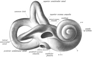 hearing loss among covid-19 patients