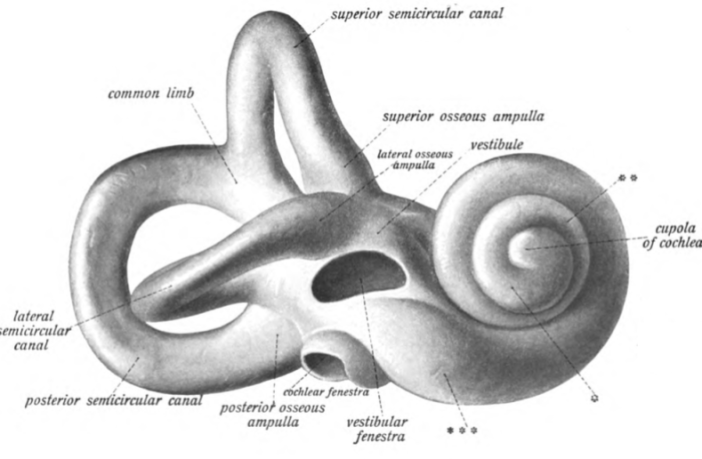 hearing loss among covid-19 patients