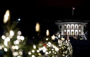 the great american christmas tree light story
