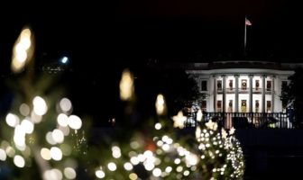 the great american christmas tree light story