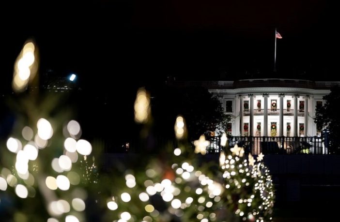 the great american christmas tree light story