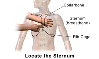 lead and ev batteries