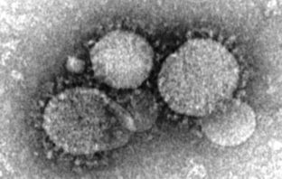 how the coronavirus gets inside our bodies