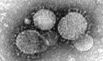 how the coronavirus gets inside our bodies