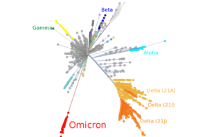 immune compromised patients and omicron