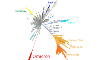 immune compromised patients and omicron
