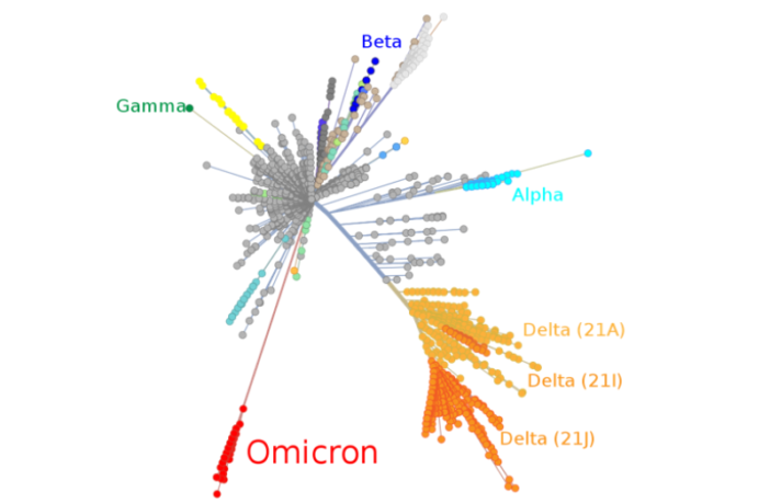 immune compromised patients and omicron
