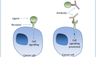 new insights into living with omicron
