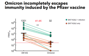 pfizer vaccine counters omicron