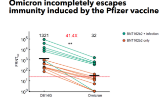 pfizer vaccine counters omicron