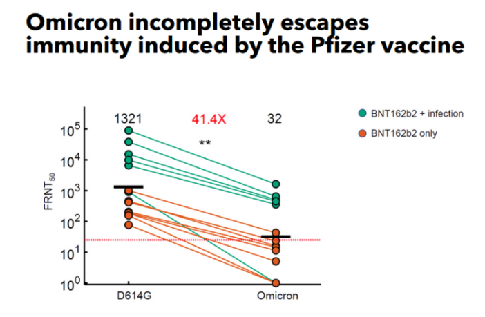 pfizer vaccine counters omicron