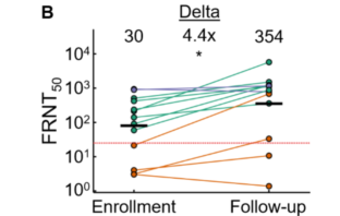 omicron infection could boost delta resistance