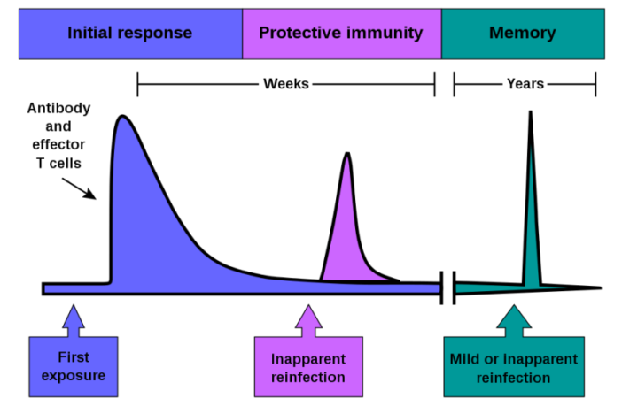 does this speak to an eventual end game