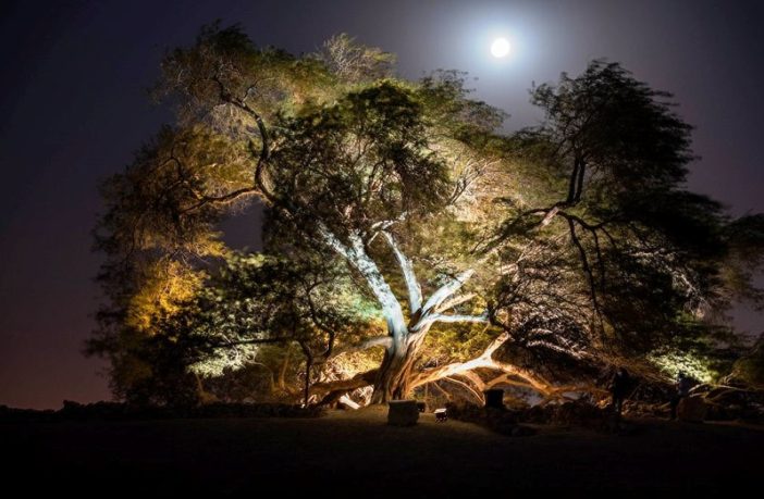 the origin of viruses