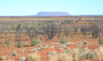 battery fit for the sweltering australian outback