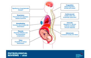 covid vaccine does not affect preterm risk