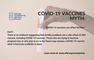 covid-19 not the vaccine affects fertility