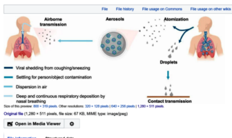 why preadolescent kids are less infectious