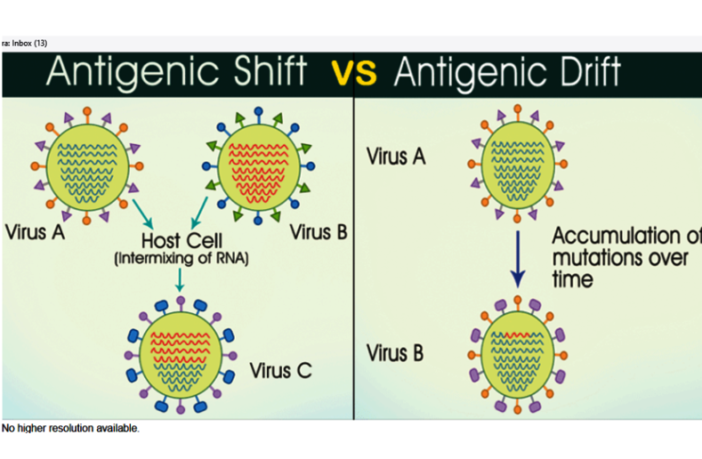 how viruses mutate and affect vaccines