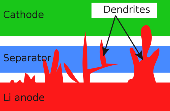 3-d exposes dendrites forming