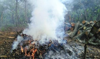 false narratives cause a million deaths