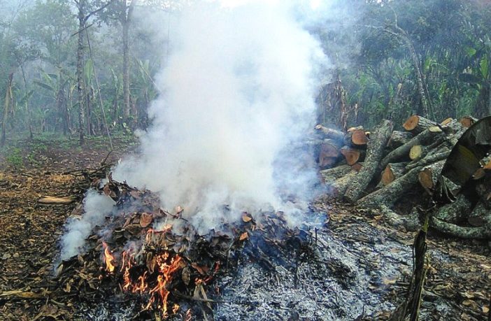 false narratives cause a million deaths