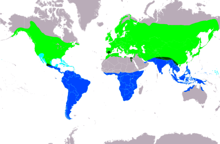 the climate is changing