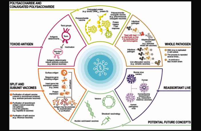 new covid-19 variant deltacron
