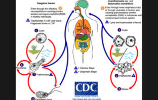 questions about covid