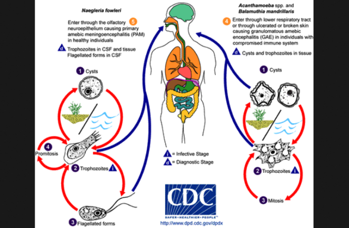 questions about covid
