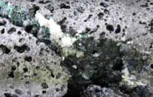 capturing co2 and turning it into stone