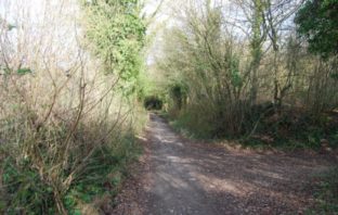 long covid could become the norm