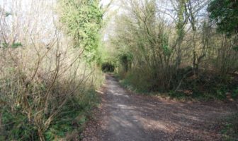 long covid could become the norm