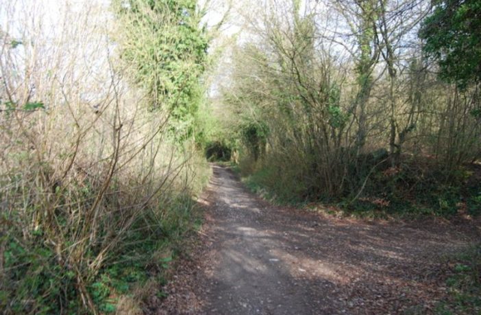 long covid could become the norm