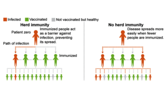 introduction to herd immunity