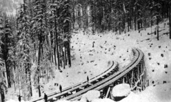 dare we ignore the lessons of long covid