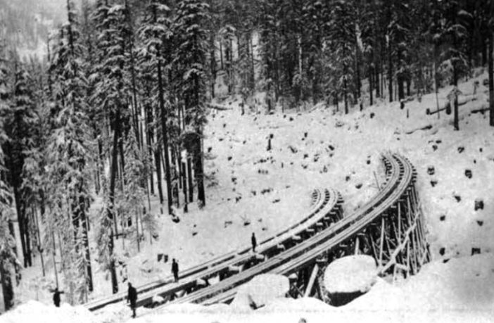 dare we ignore the lessons of long covid